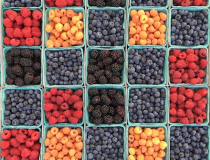 Piccoli contenitori all'interno dei quali vi sono diverse tipologie di frutti di bosco.