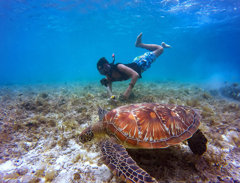 Nomi per Aziende nel Settore delle Immersioni