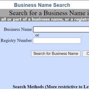 Navigate to the business name search tool.