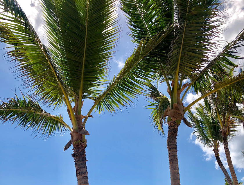 Cómo crear una empresa en la República Dominicana
