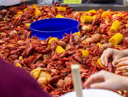 Delle persone che condividono un piatto cajun di pesce con gamberi, patate e mais.