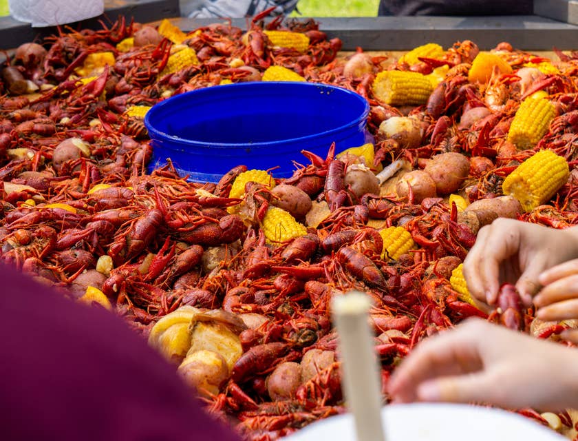 Mehrere Leute stehen im Garten eines Cajun-Restaurants um eine riesige Shrimps-Platte mit Mais und Kartoffeln und greifen mit den Händen zun essen.