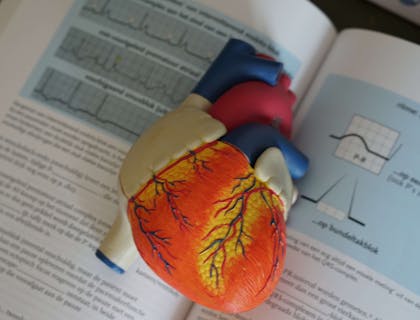Nomes para clínicas de cardiologia