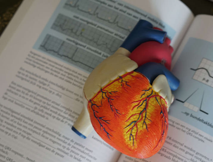 Noms de cabinet de cardiologie