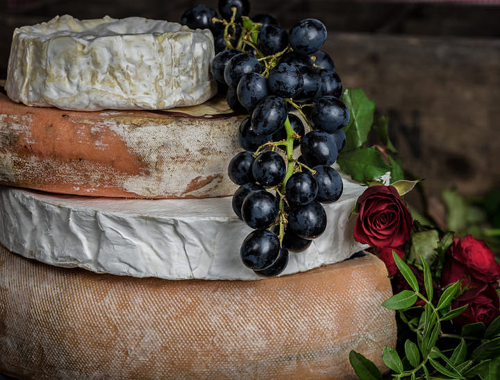 Cheese Tasting Class Business Names