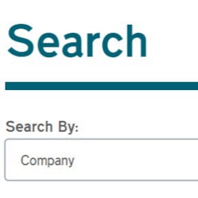 Choose the "Company" option.