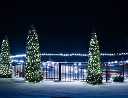 Christmas trees decorated with lights outside in the snow at night.