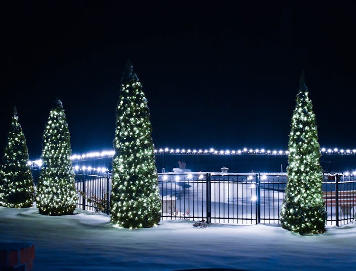 Nomes para lojas de árvores de Natal