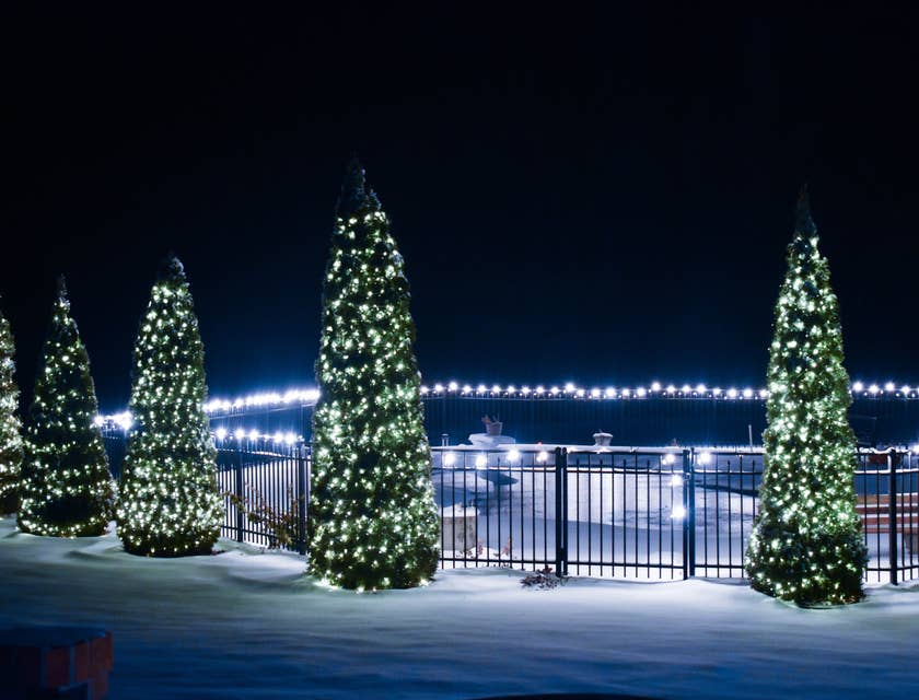 Árboles de Navidad decorados con luces al aire libre en la nieve por la noche en un negocio de árboles navideños.