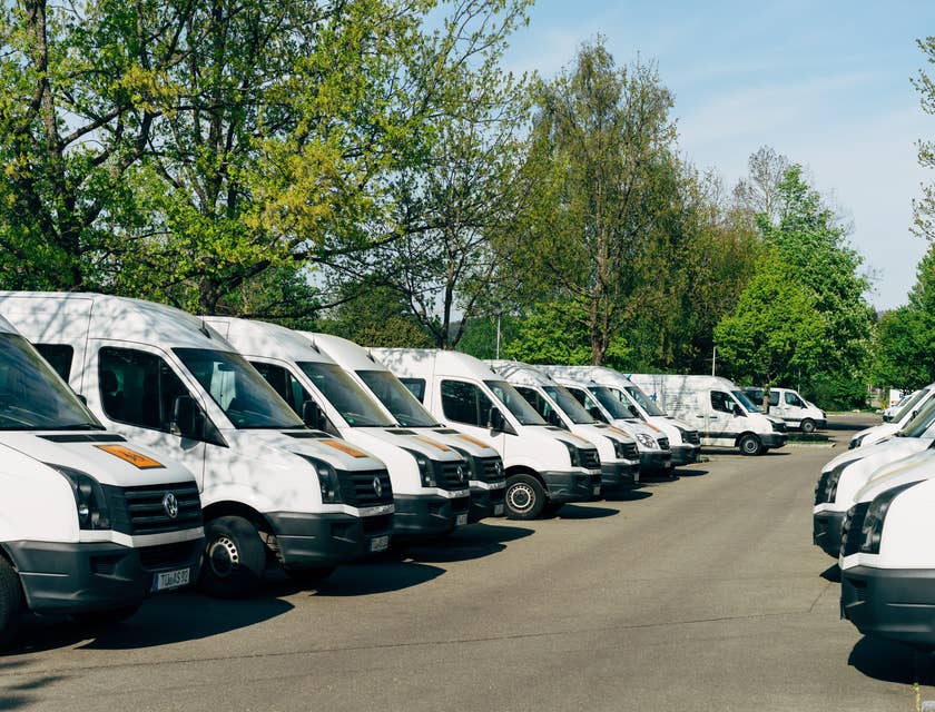 Sprinter vans lined up at commercial truck dealer: