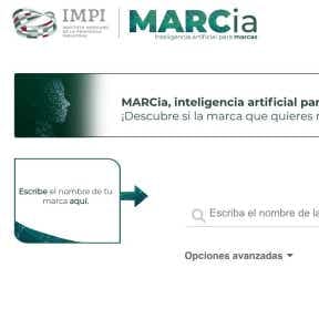 Comprueba si tus principales opciones son marcas registradas.