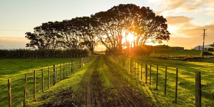 A sunset in the countryside.