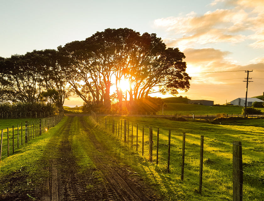 Un bellissimo tramonto in campagna.