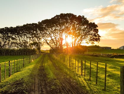 Coucher de soleil à la campagne.