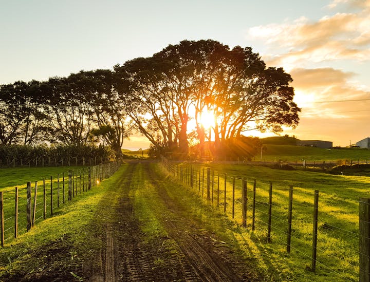 Country Business Names