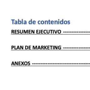 Crea un plan de negocios.
