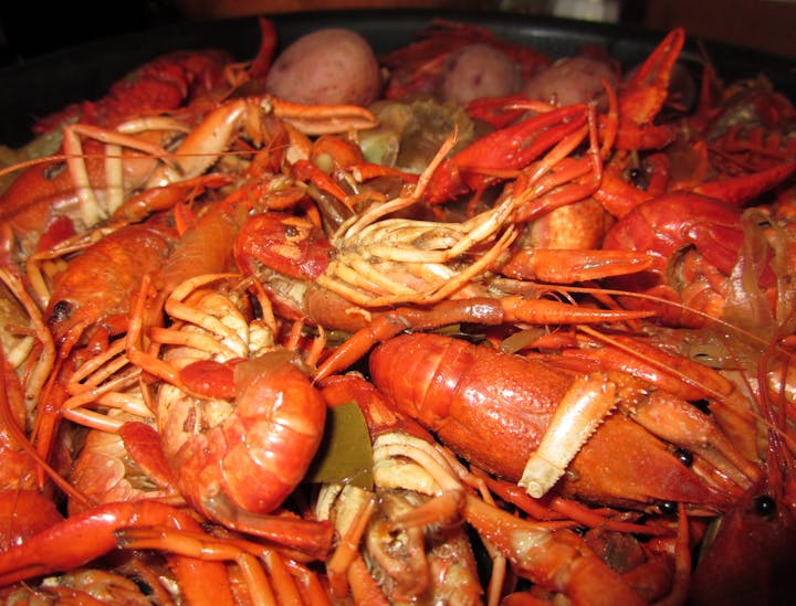 Creole Restaurant Business Names