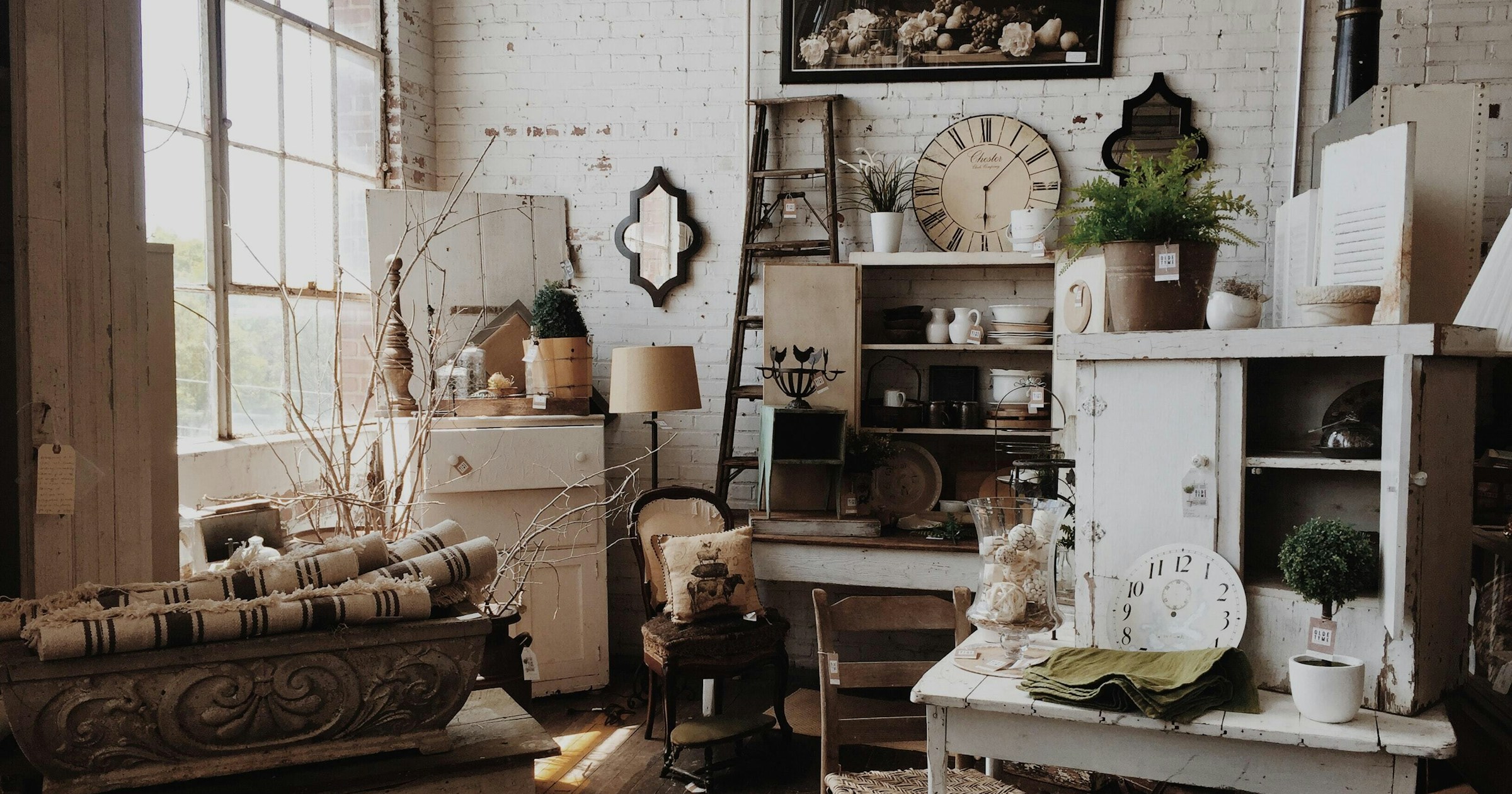 Curio Store Curio Shop Names + Free Logos