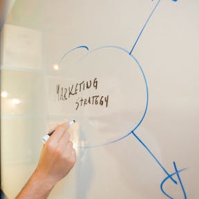 Describe tu estrategia de marketing.