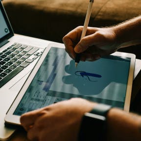 Crea y exhibe tu logo estratégicamente.