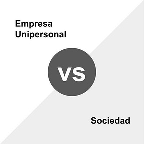 Determina si eres un propietario único o una sociedad.