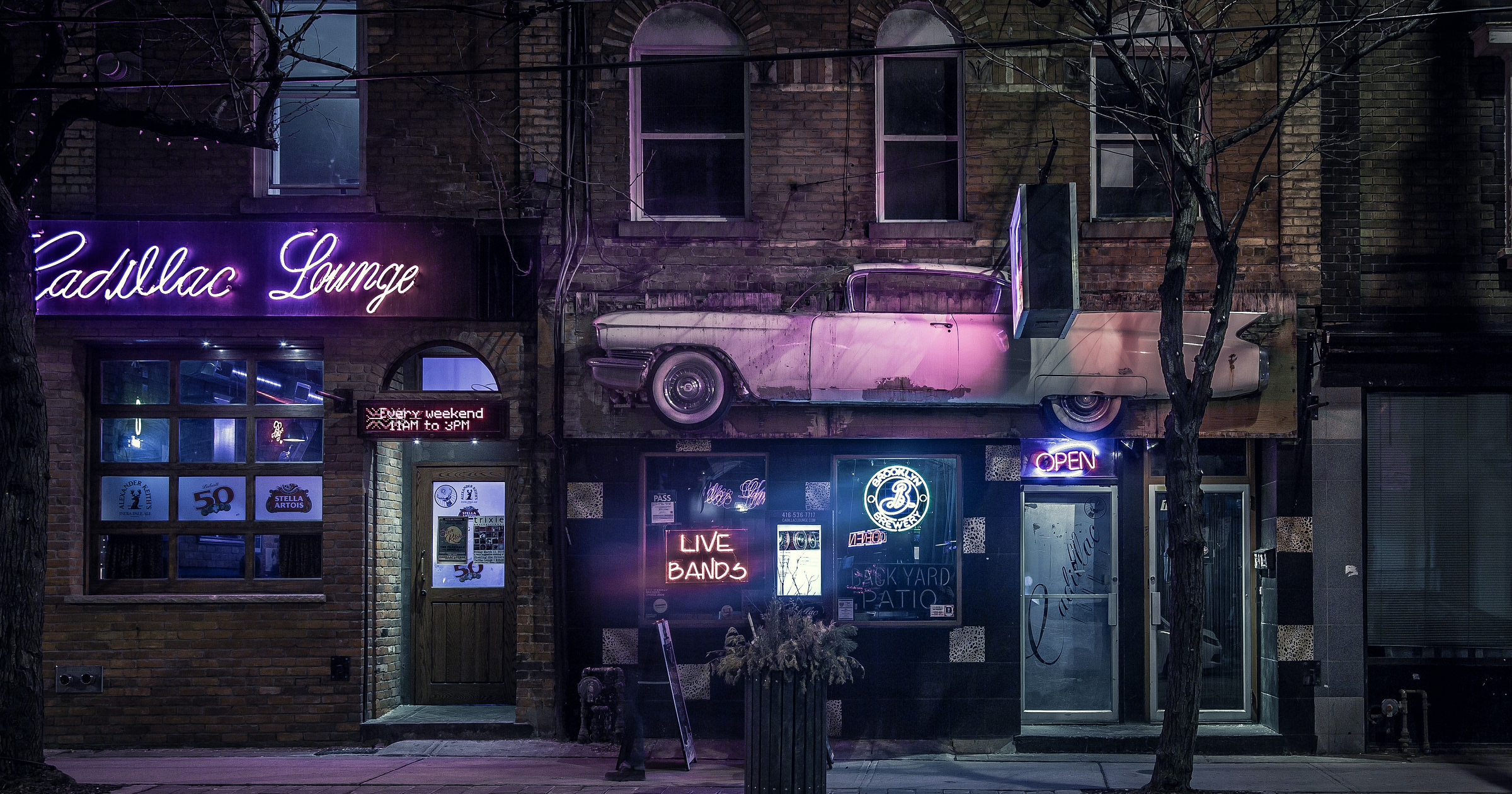 Dive Bar Business Names