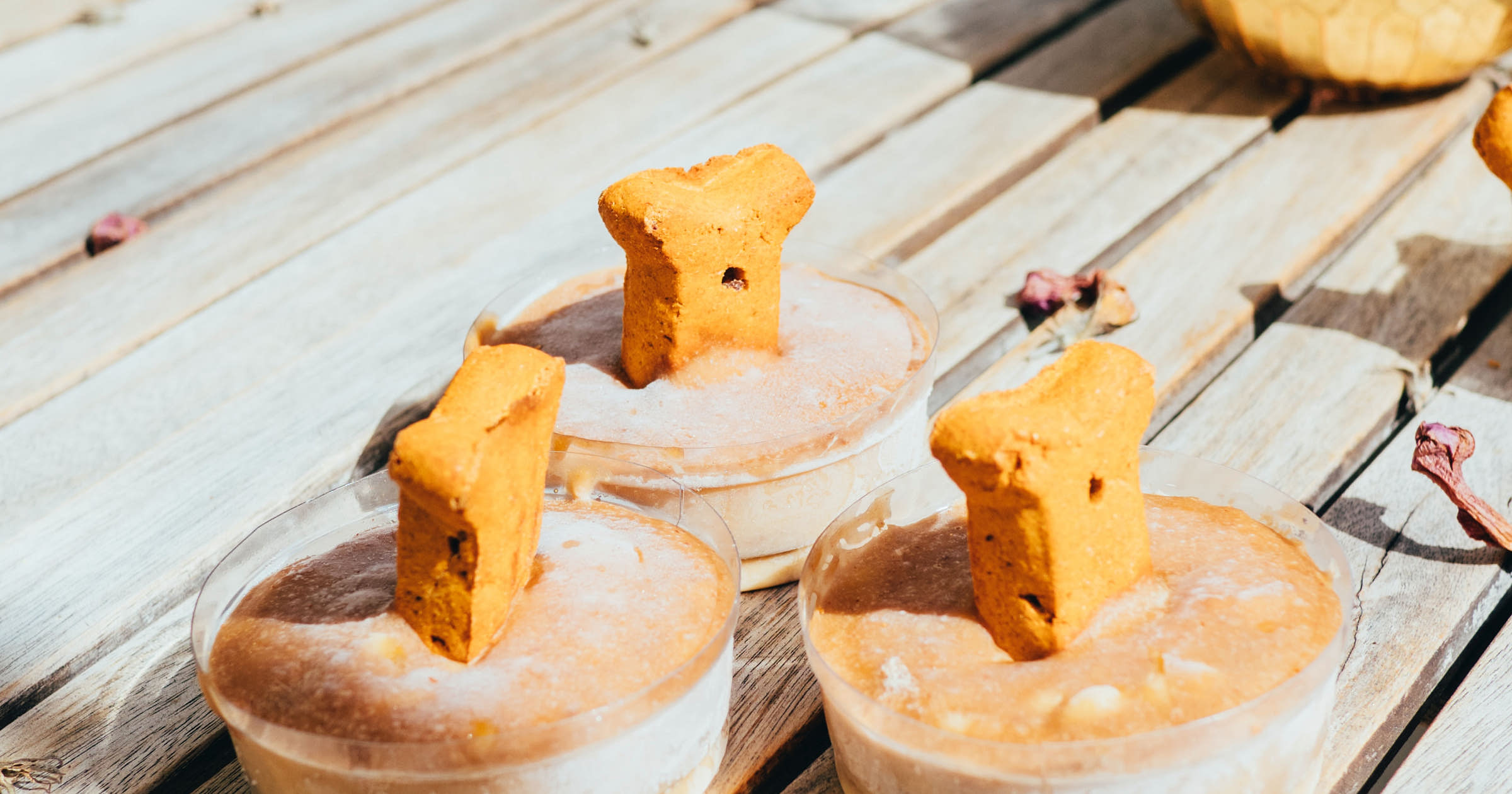 Dog Treat Business Names + Free Logos