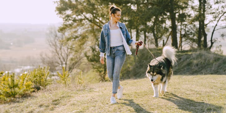 A dog walker walking a dog.