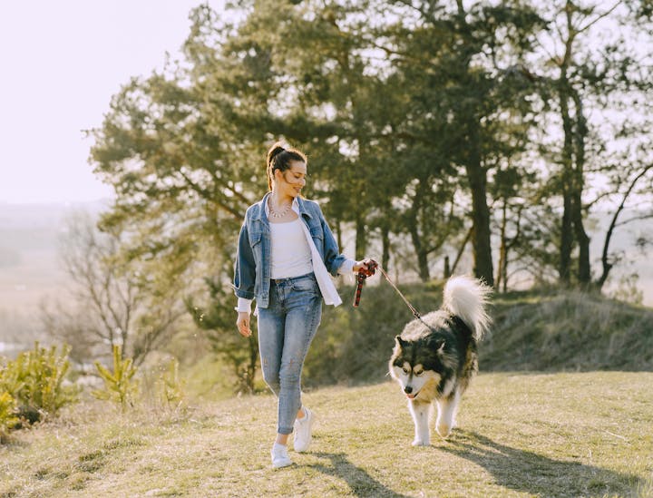 Nombres para negocios de paseadores de perros