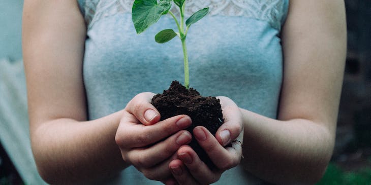 Woman holding soil and a plant.