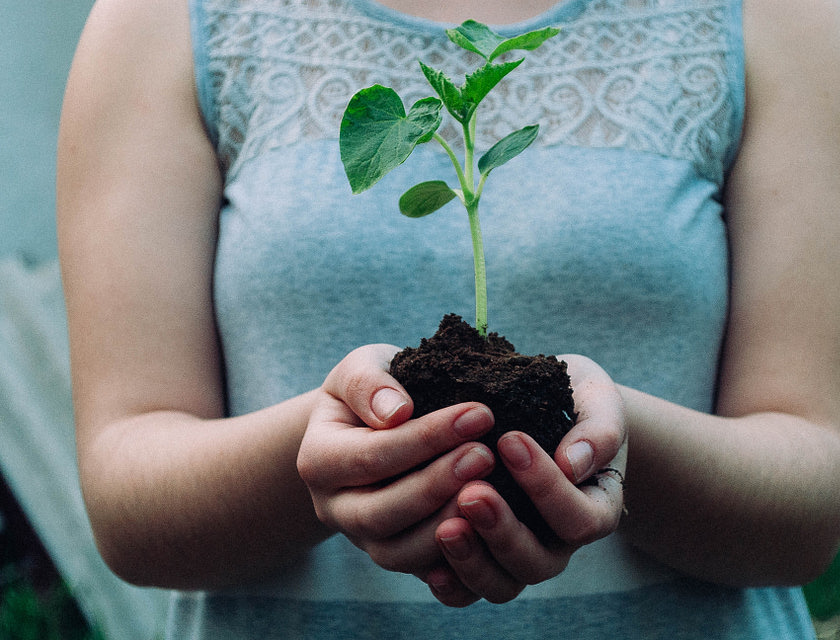 Woman holding soil and a plant.