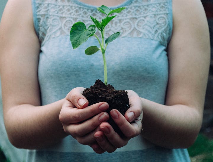 Naturverbundene Firmennamen