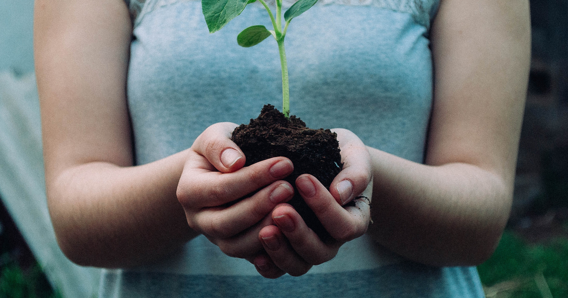 Earthy Business Names