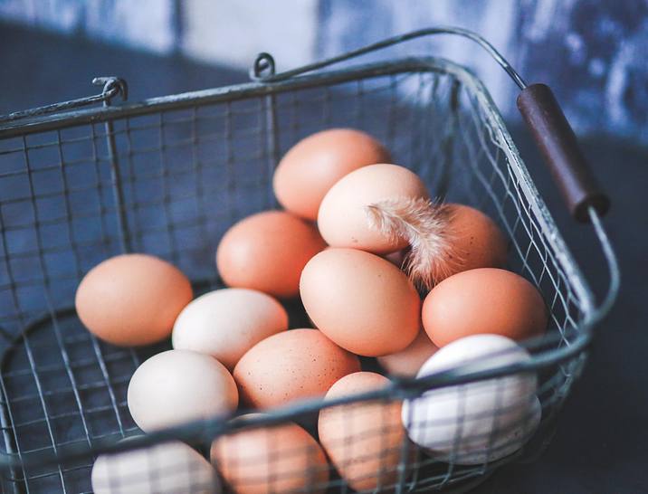 Egg Business Names