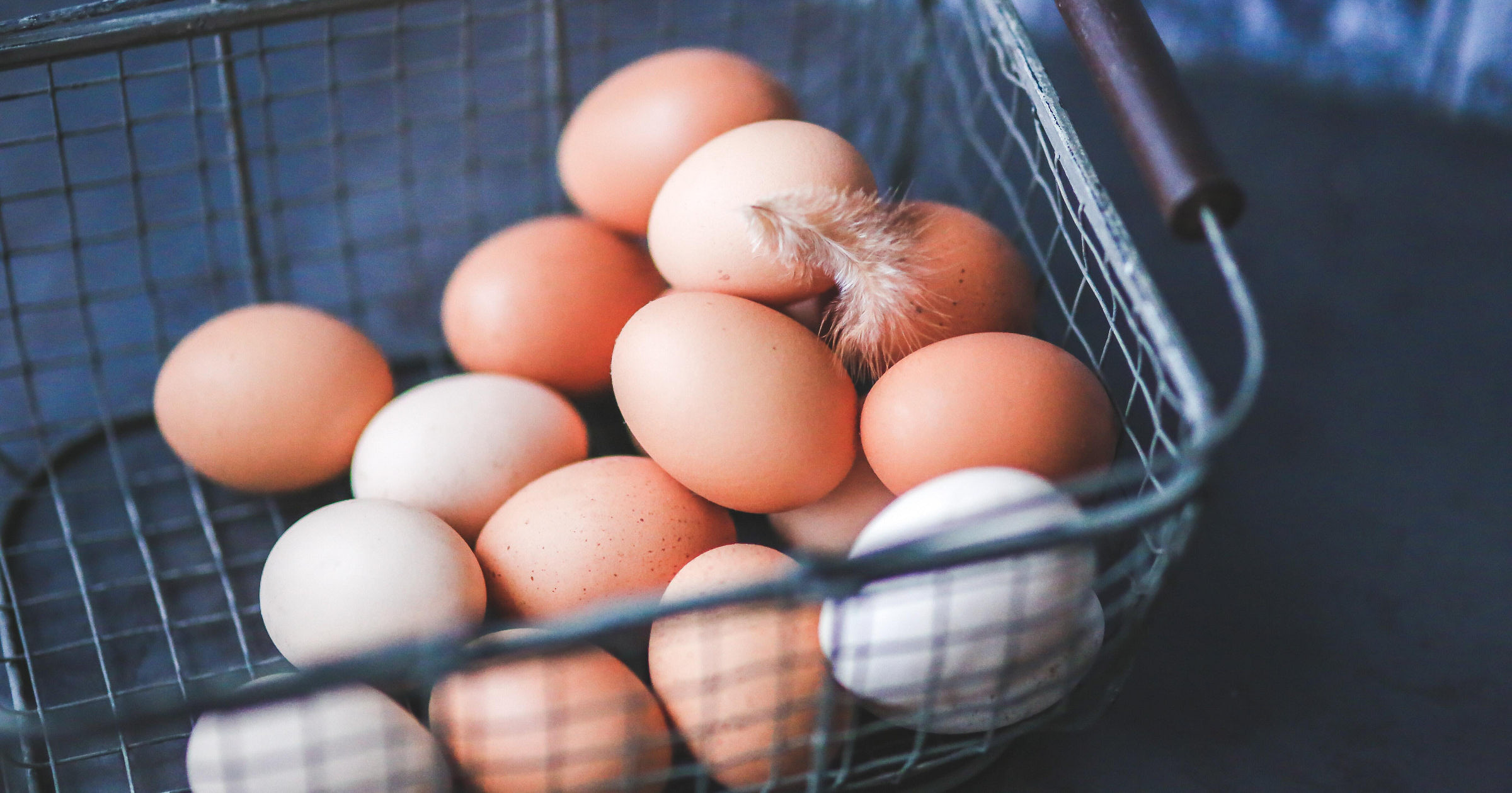 Egg Business Names + Free Logos