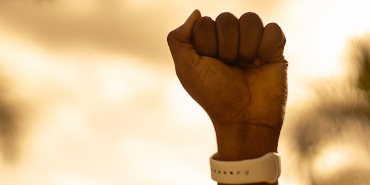 Person holding their fist up.