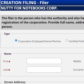 Enter the filer's details.