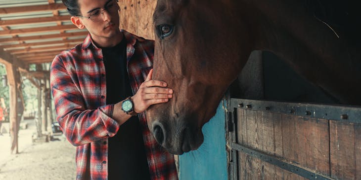 A man stroking a horse at an equine therapy business.