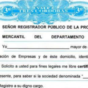 Escritura de Constitución de Sociedad.