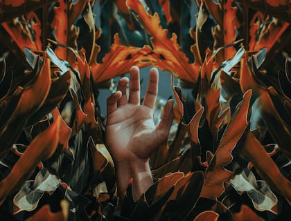 Una mano in mezzo a delle piante esotiche arancioni.