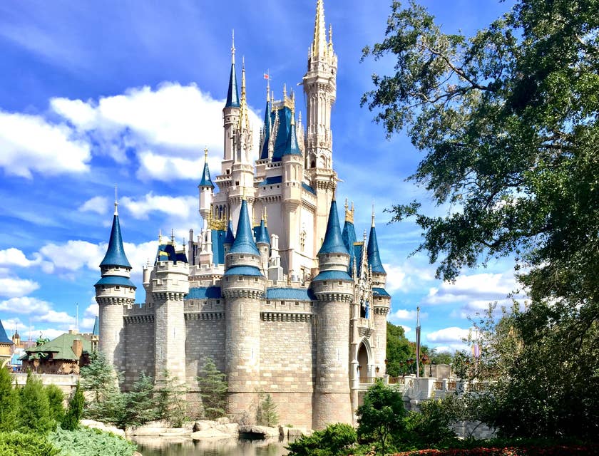 Fairytale business with castle of Disney.