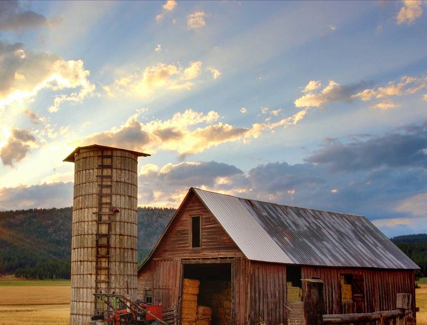 Farm Business Names
