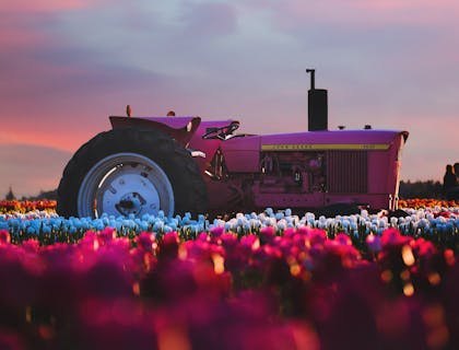 Du vieux matériel agricole en train d'être réparé dans un garage agricole.