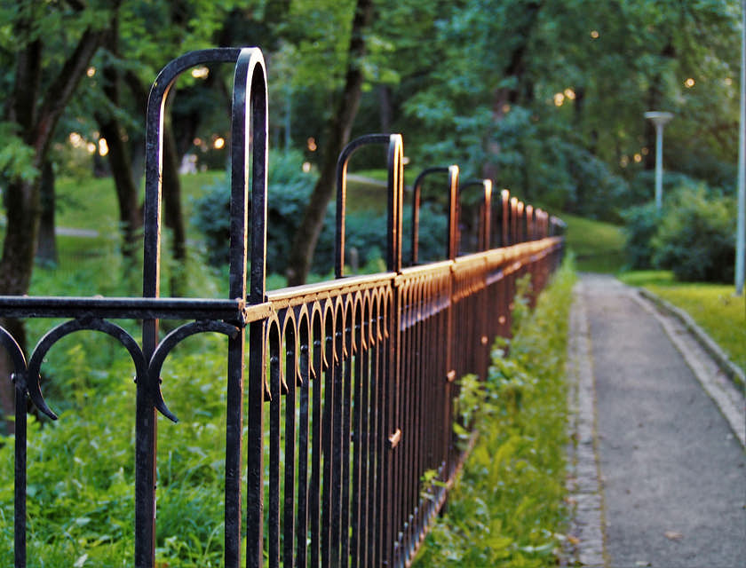 Solid fence and gate.