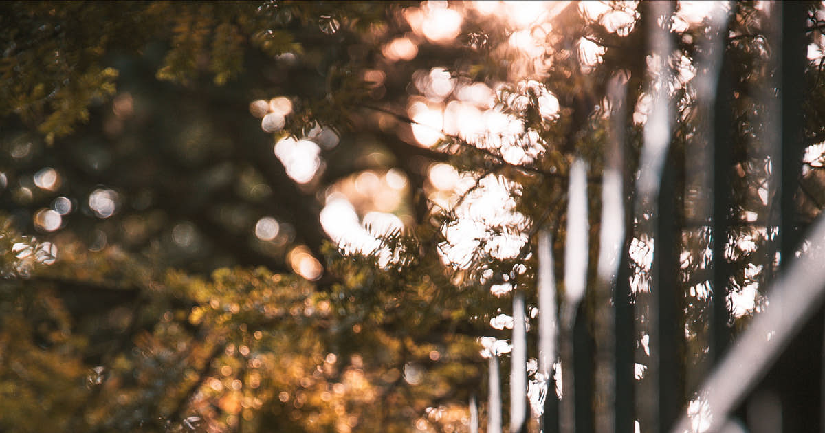 Fence & Gate Business Names
