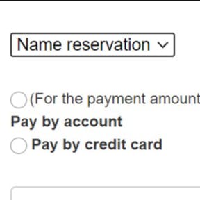 File a name reservation.