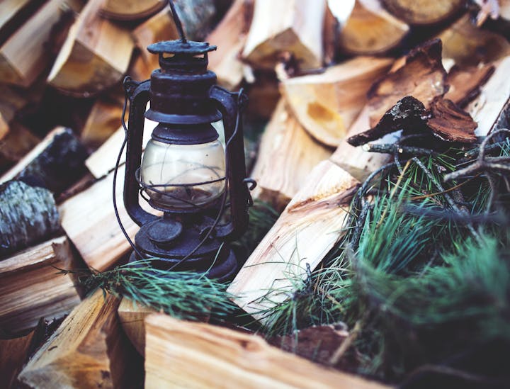 Nomes para comércio de lenha