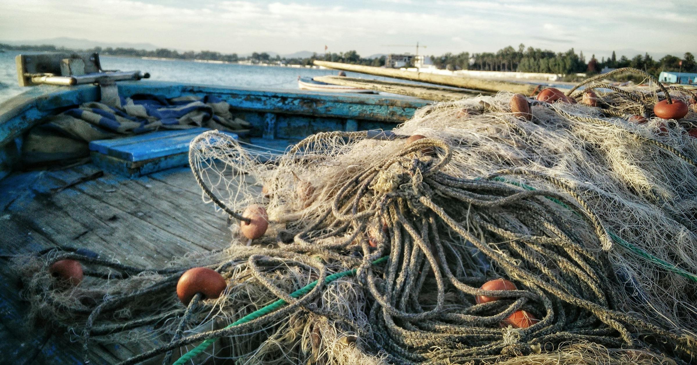 Nomi per Aziende nel Settore della Pesca