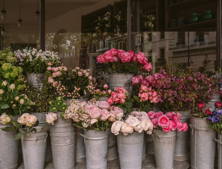 Nomes para floriculturas