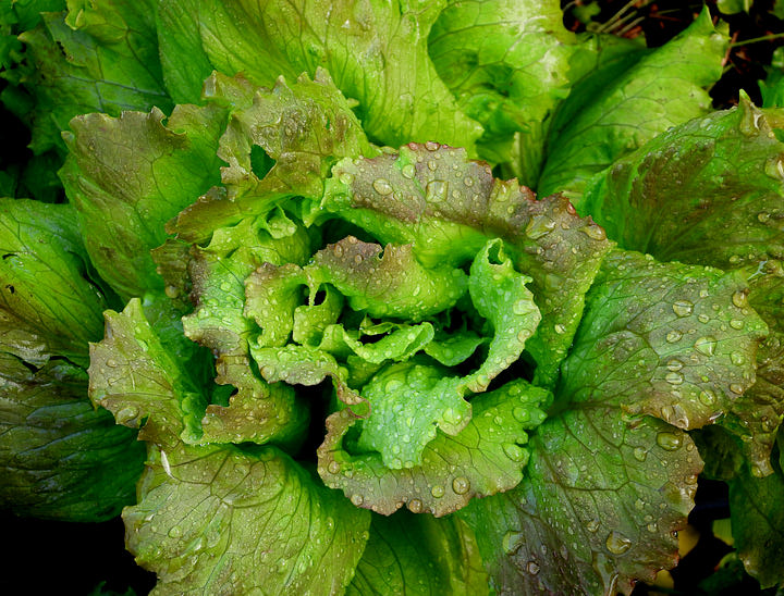 Nomes frescos para empresas